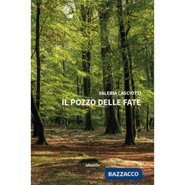 Pozzo delle fate (Il)