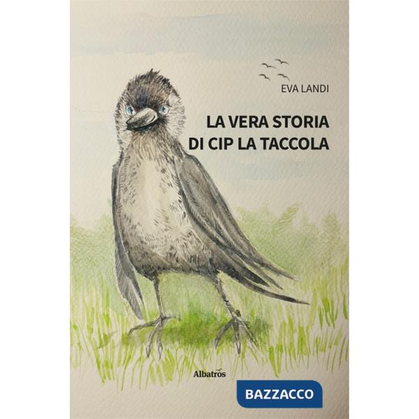 Vera storia di Cip la taccola (La)