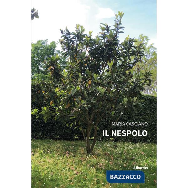 Nespolo (Il)