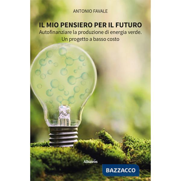 Mio pensiero per il futuro. Autofinanziare la produzione di energia verde. Un progetto a basso costo (Il)