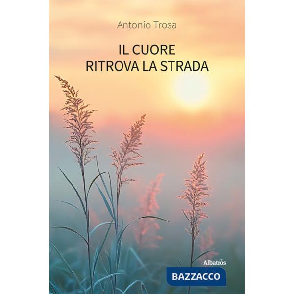 Cuore ritrova la strada (Il)