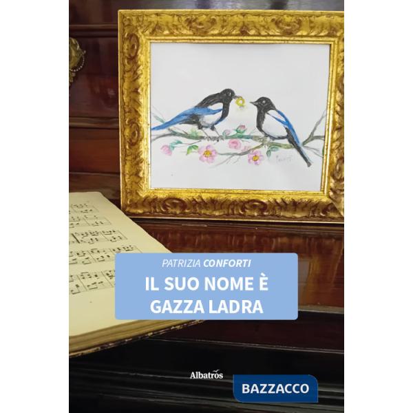 Suo nome è gazza ladra (Il)