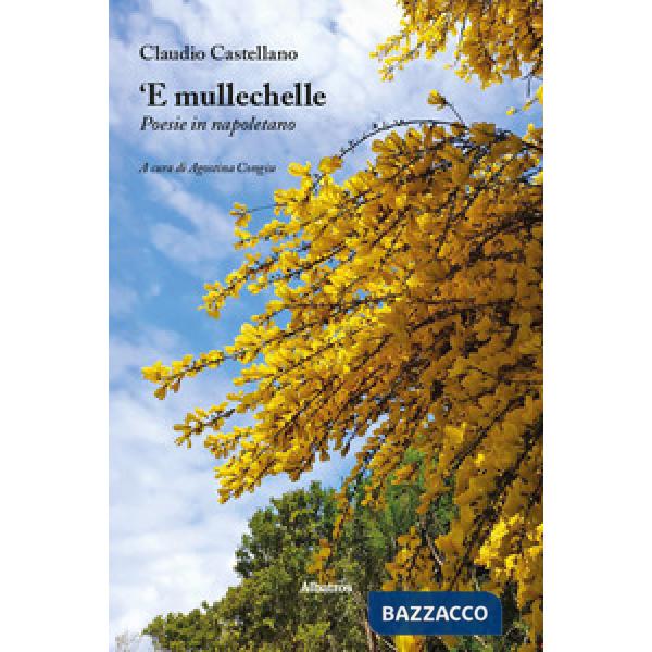 'E mullechelle. Poesie in napoletano