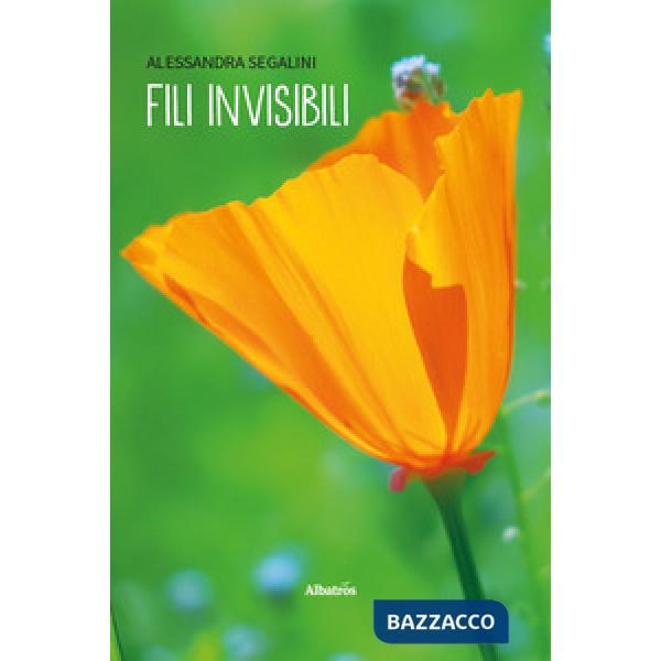 Fili invisibili