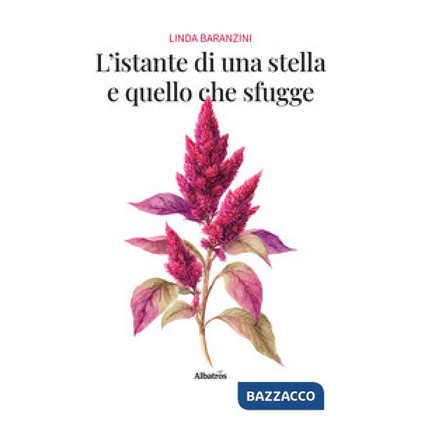 Istante di una stella e quello che sfugge (L')