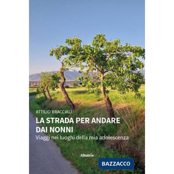 Strada per andare dai nonni. Viaggi nei luoghi della mia adolescenza (La)