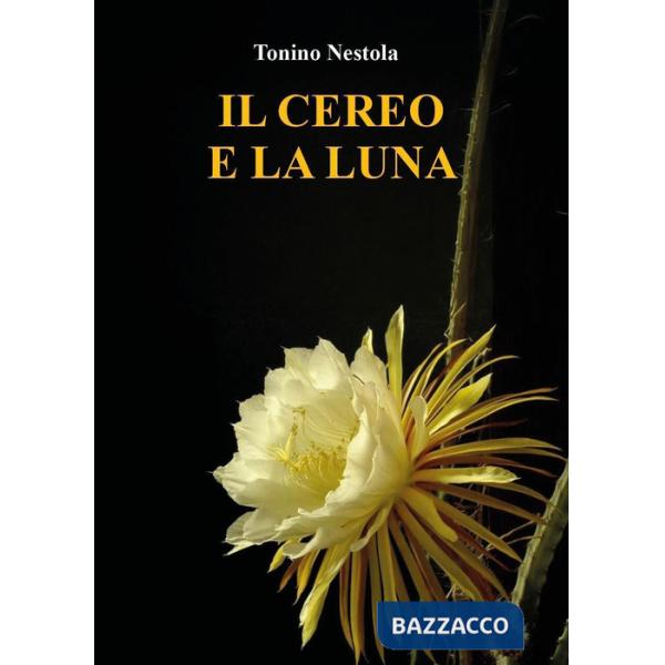 Cereo e la luna (Il)