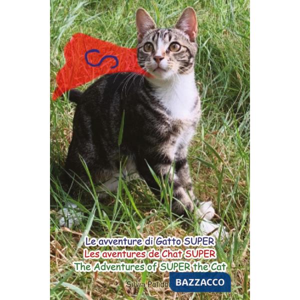 Avventure di Gatto Super-Les aventures de Chat Super-The Adventures of Super the Cat (Le)