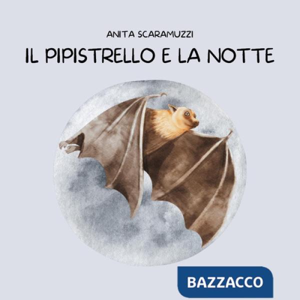 Pipistrello e la notte. Ediz. a colori (Il)