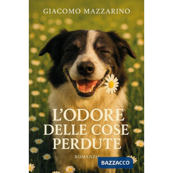 Odore delle cose perdute (L')
