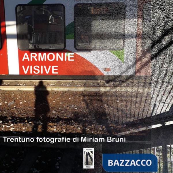 Armonie visive