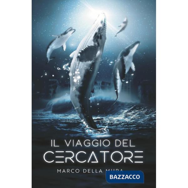 Viaggio del cercatore (Il)