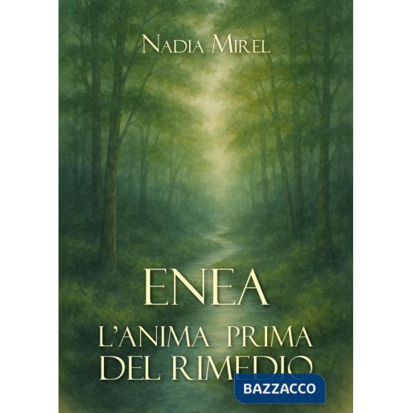 Enea. L'anima prima del rimedio