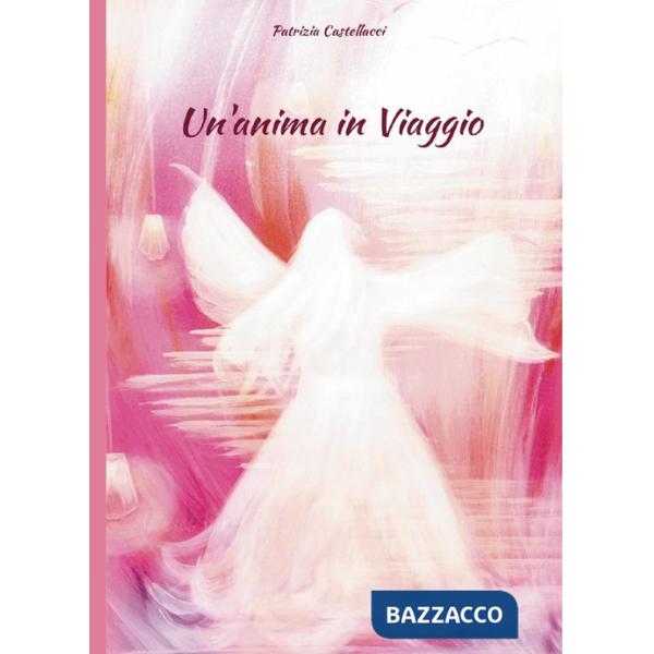 Anima in viaggio (Un')