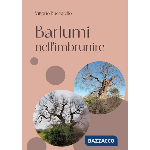 Barlumi nell'imbrunire