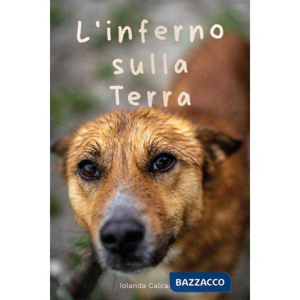 Inferno sulla terra (L')