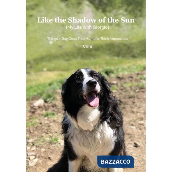 Like the shadow of the sun (My life with Giorgio)