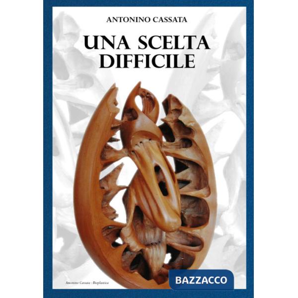 Scelta difficile (Una)