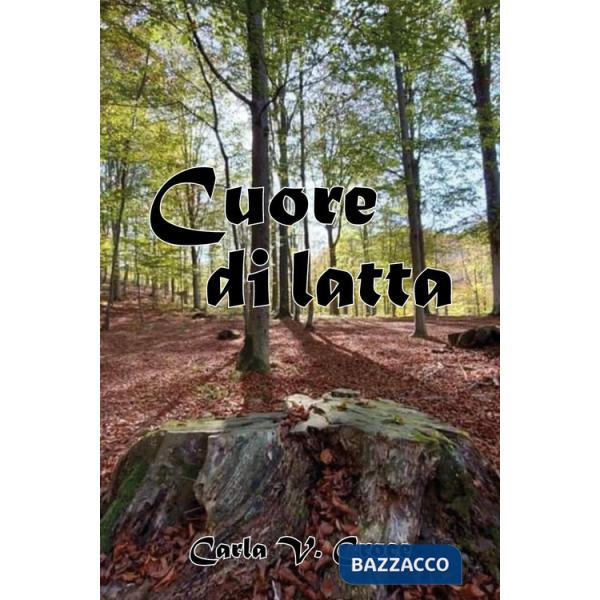 Cuore di latta