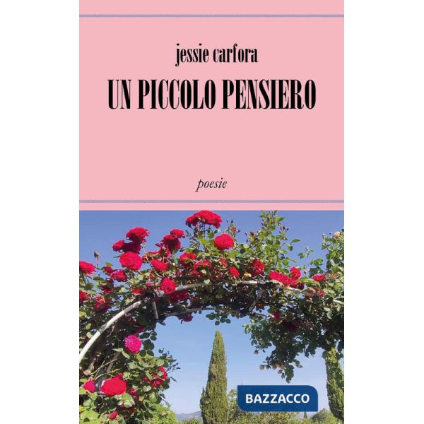 Piccolo pensiero (Un)
