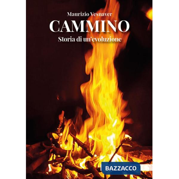 Cammino. Storia di un'evoluzione