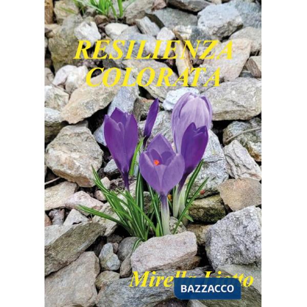 Resilienza colorata