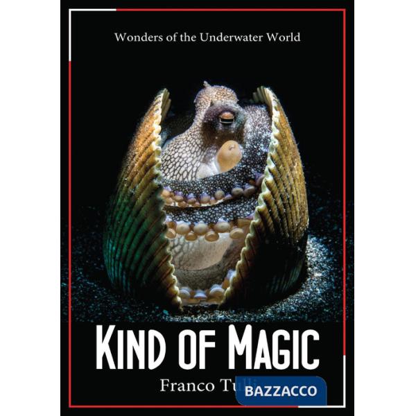 Kind of magic. Wonders of the underwater world