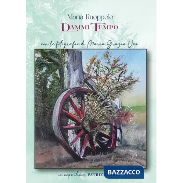 Dammi tempo