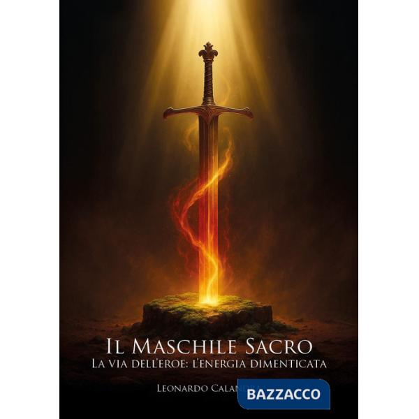 Maschile sacro. La via dell'eroe: l'energia dimenticata (Il)
