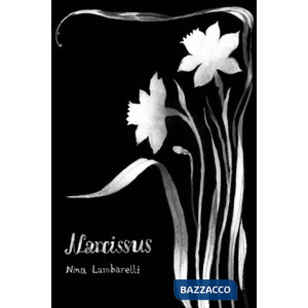 Narcissus