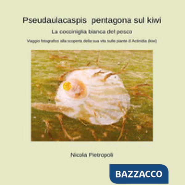 Pseudaulacaspis pentagona sul kiwi. La cocciniglia bianca del pesco. Viaggio fotografico alla scoperta della sua vita sulle pian