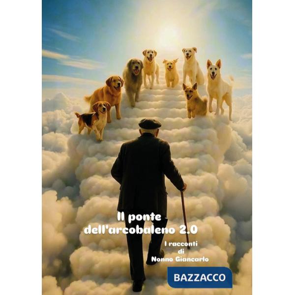 Ponte dell'arcobaleno 2.0 (Il)