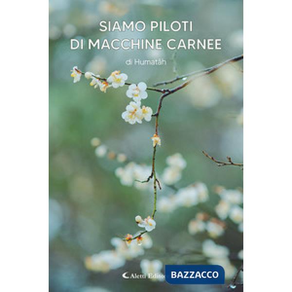 Siamo piloti di macchine carnee