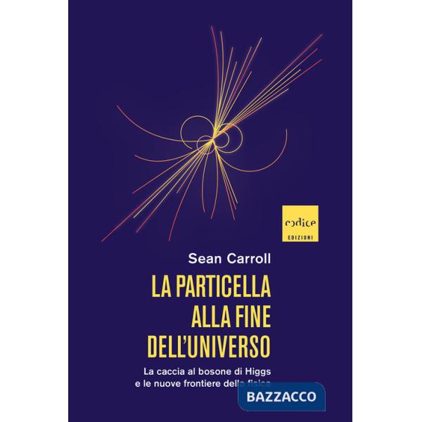 Particella alla fine dell'universo. La caccia al bosone di Higgs e le nuove frontiere della fisica (La)