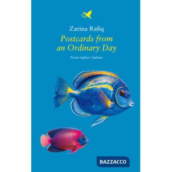 Postcards from an ordinary day