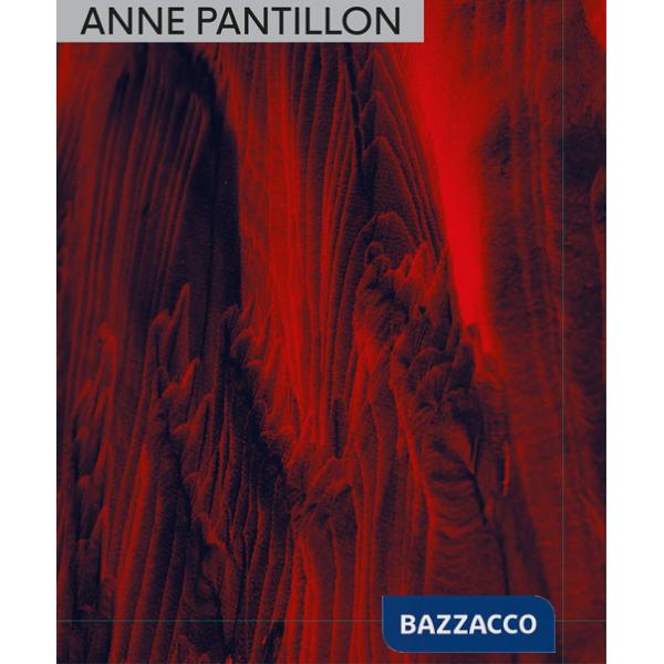 Anne Pantillon. Ediz. italiana e inglese