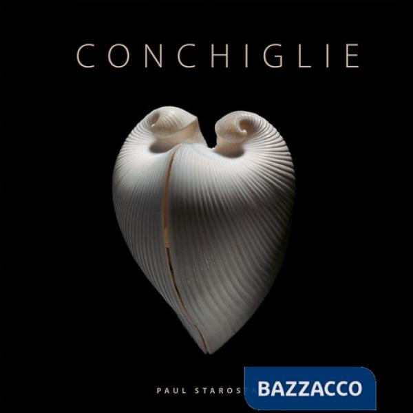 Conchiglie. Ediz. a colori