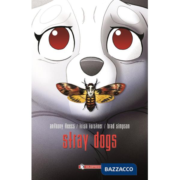 Stray dogs. Cani randagi