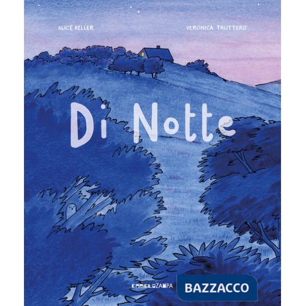 Di notte. Ediz. a colori