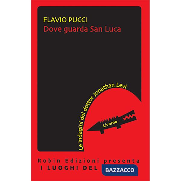 Dove guarda san Luca. Le indagini del dottor Jonathan Levi