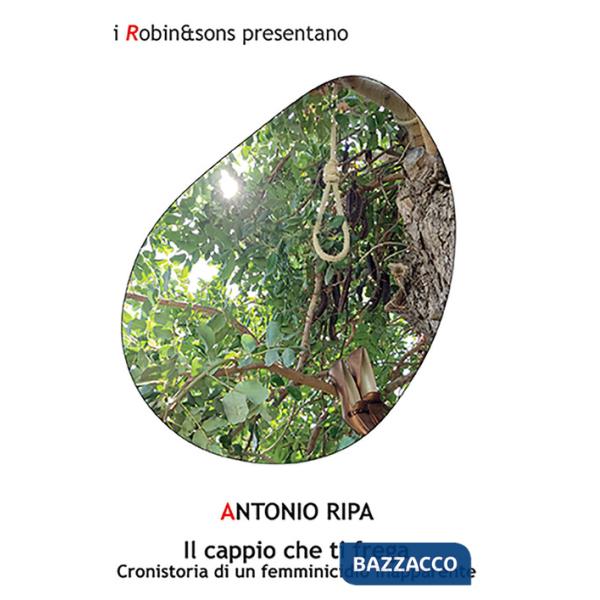 Cappio che ti frega. Cronistoria di un femminicidio inapparente (Il)