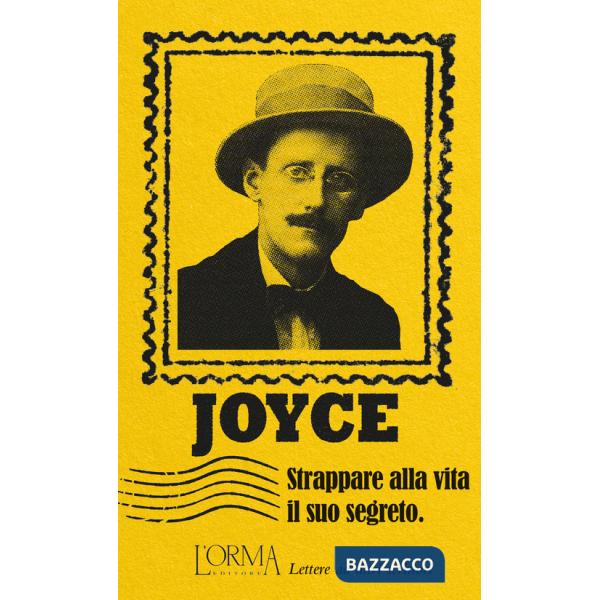 Strappare alla vita il suo segreto. Lettere ad altri scrittori