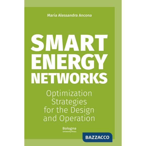 Smart energy networks. Optimization strategies for the design and operation