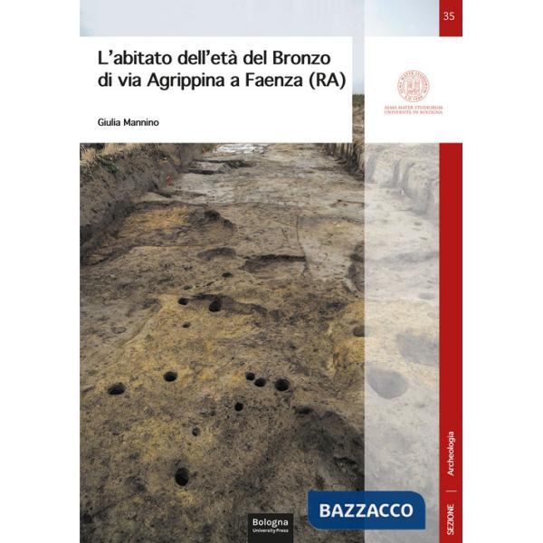 Abitato dell'età del Bronzo di via Agrippina a Faenza (RA) (L')
