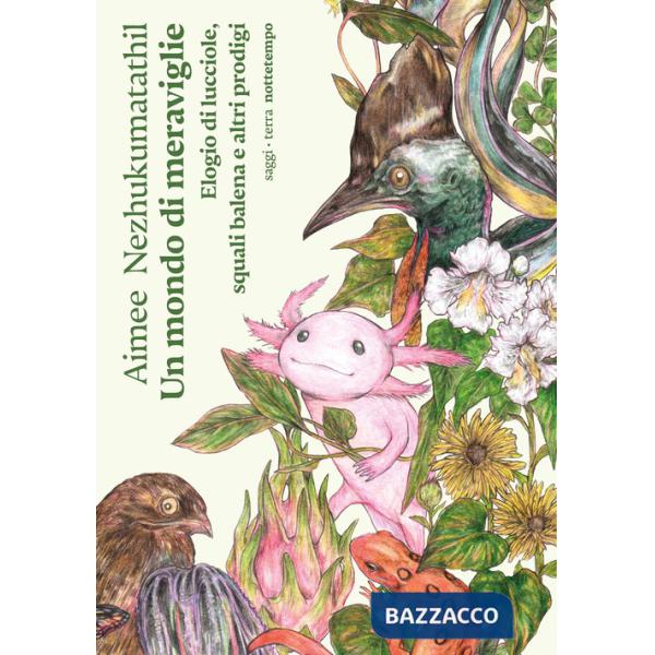 Mondo di meraviglie. Elogio di lucciole, squali balena e altri prodigi (Un)