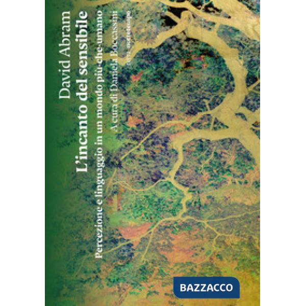 Incanto del sensibile. Percezione e linguaggio in un mondo più-che-umano (L')