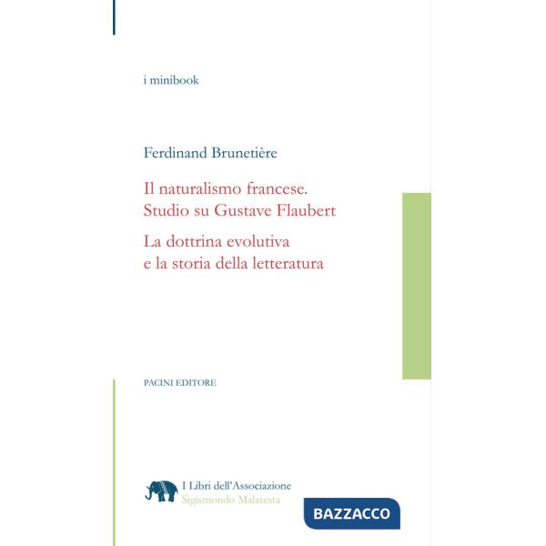 Naturalismo francese. Studio su Gustave Flaubert. La dottrina evolutiva e la storia della letteratura (Il)