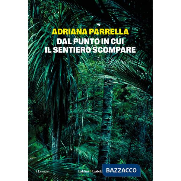 Dal punto in cui il sentiero scompare