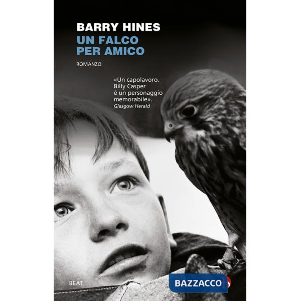 Falco per amico (Un)