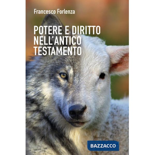 Potere e diritto nell'Antico Testamento. Un itinerario tra la storia e gli istituti del popolo ebraico